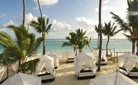 Privilege loungers facing the hotel beach (new!)